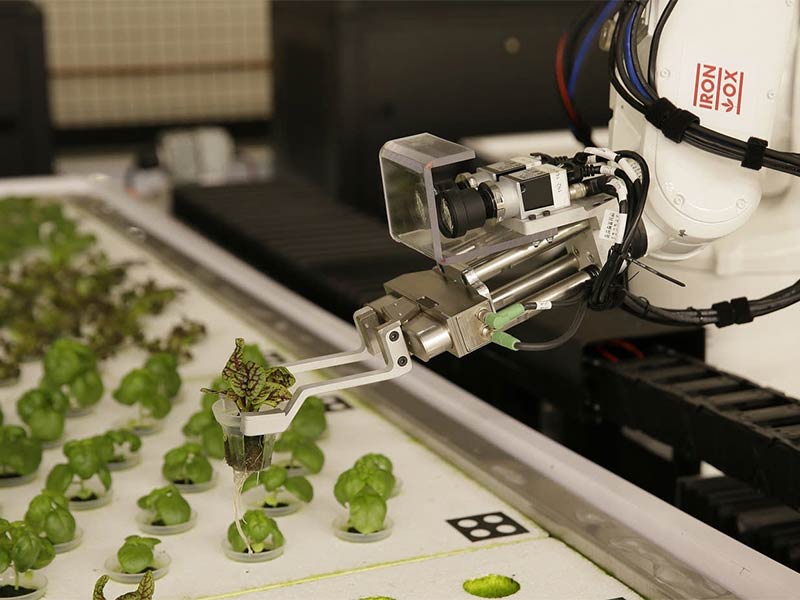 "أنجوس" المزارع الآلي... تعرف إلى قصته